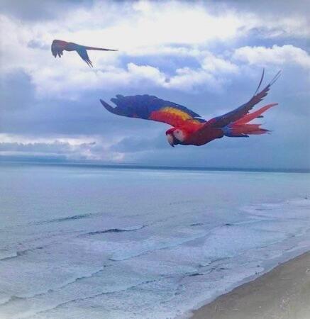 Coloso Del Mar Zancudo ภายนอก รูปภาพ