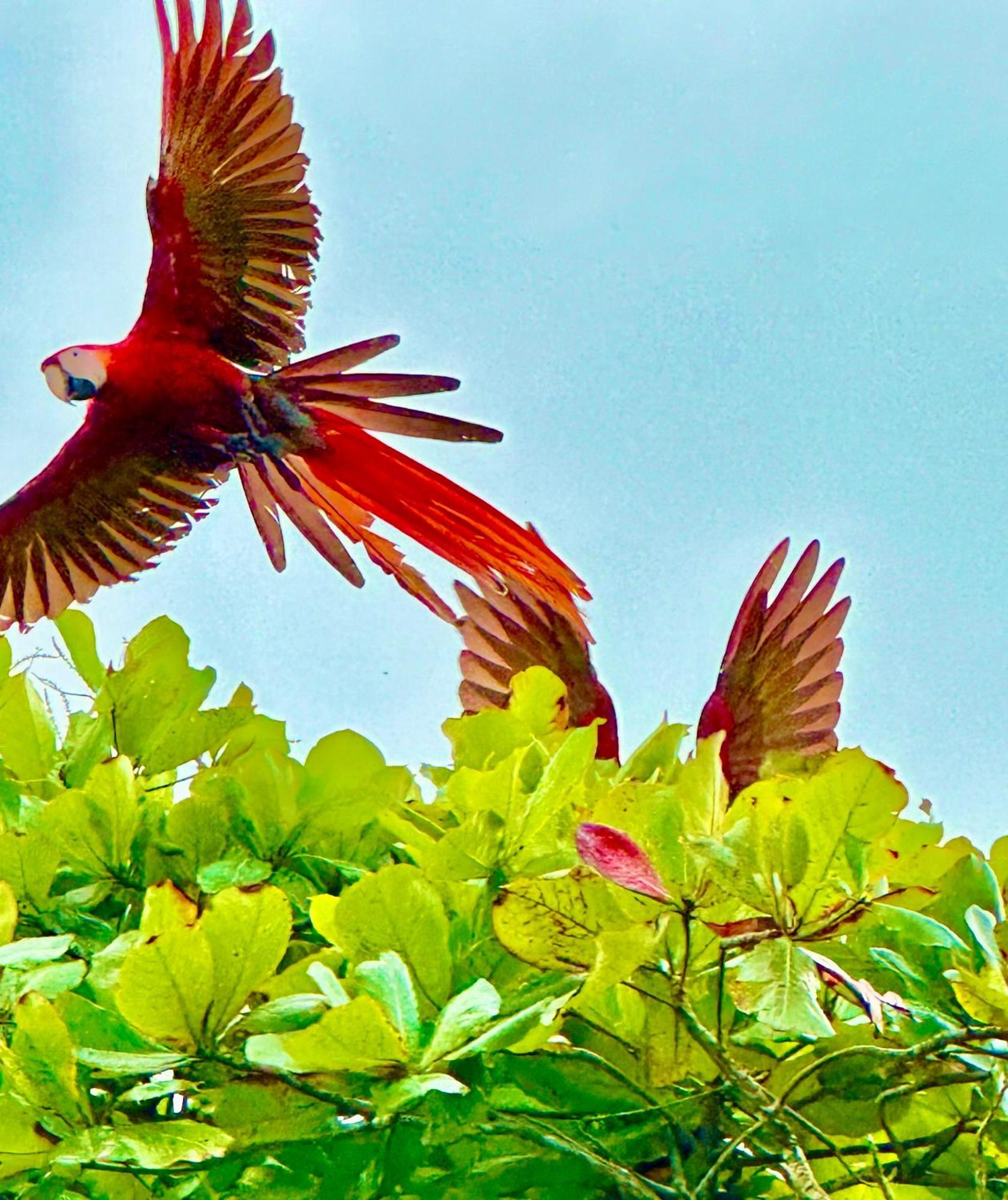 Coloso Del Mar Zancudo ภายนอก รูปภาพ